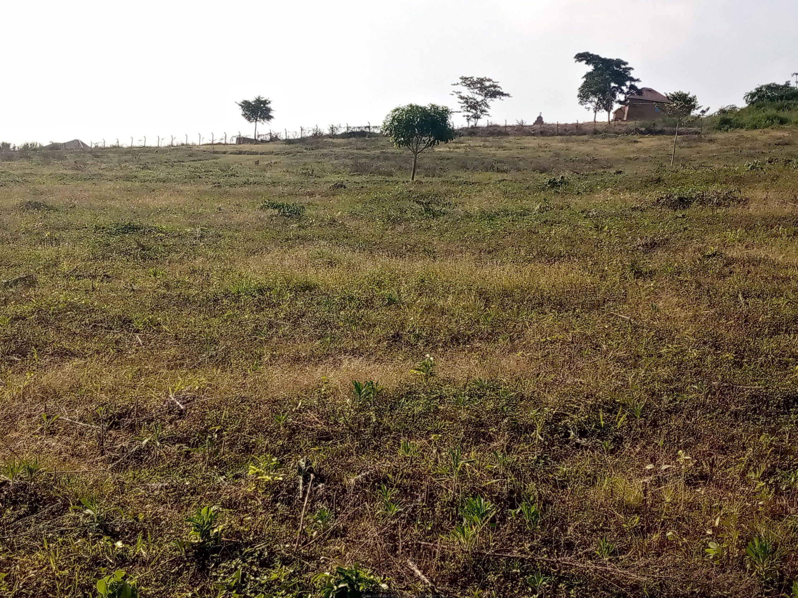 Residential plots for sale located in Wakiso Gobero muguluka