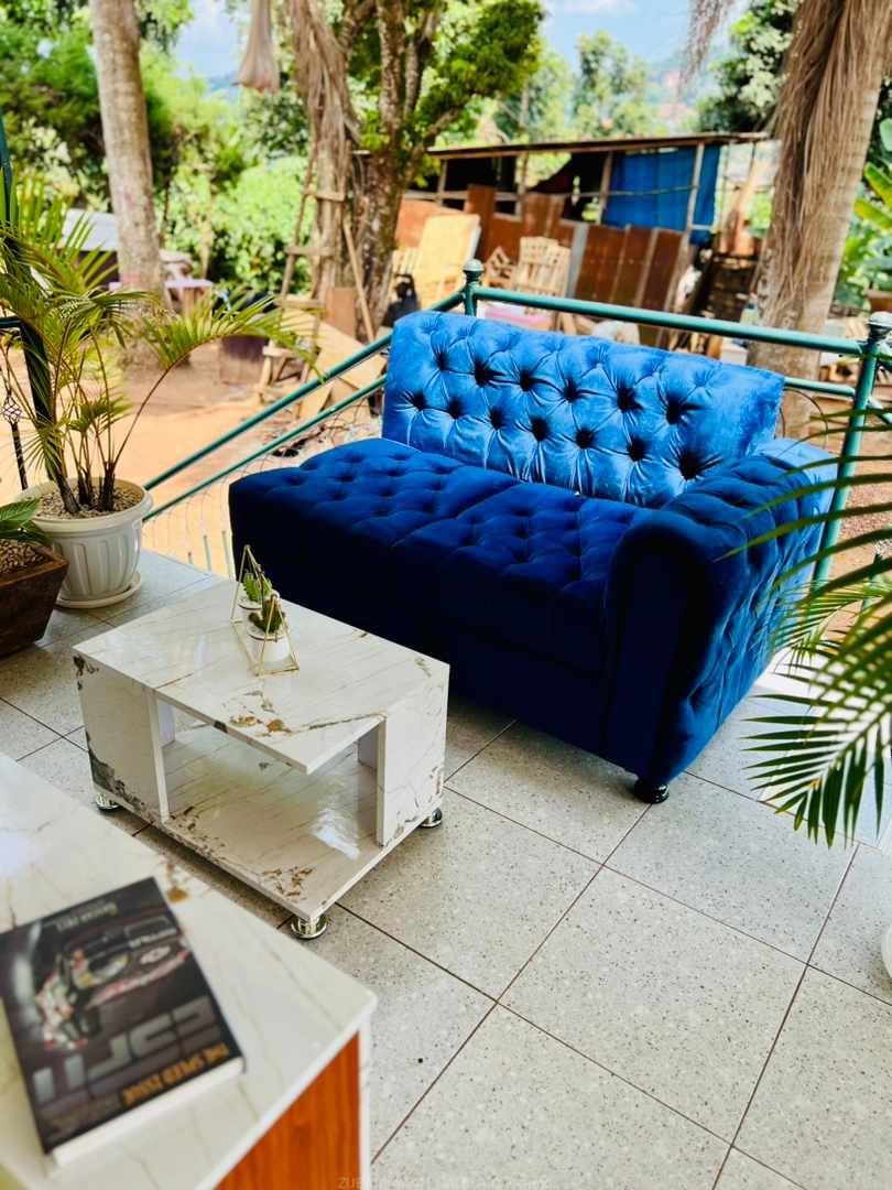 Sofa,tv stand, center piece