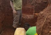 Fledmations and construction
