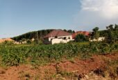 TITLED COMMERCIAL AND RESIDENTIAL PLOTS MEASURED 50*100FT FOR SALE LOCATED IN MUKONO NSABWE