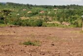 Commercial and Residential plots for sale located in Wakiso Namayumba town