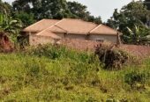 TITLED COMMERCIAL AND RESIDENTIAL PLOTS MEASURED 50*100FT FOR SALE LOCATED IN MUKONO NSABWE