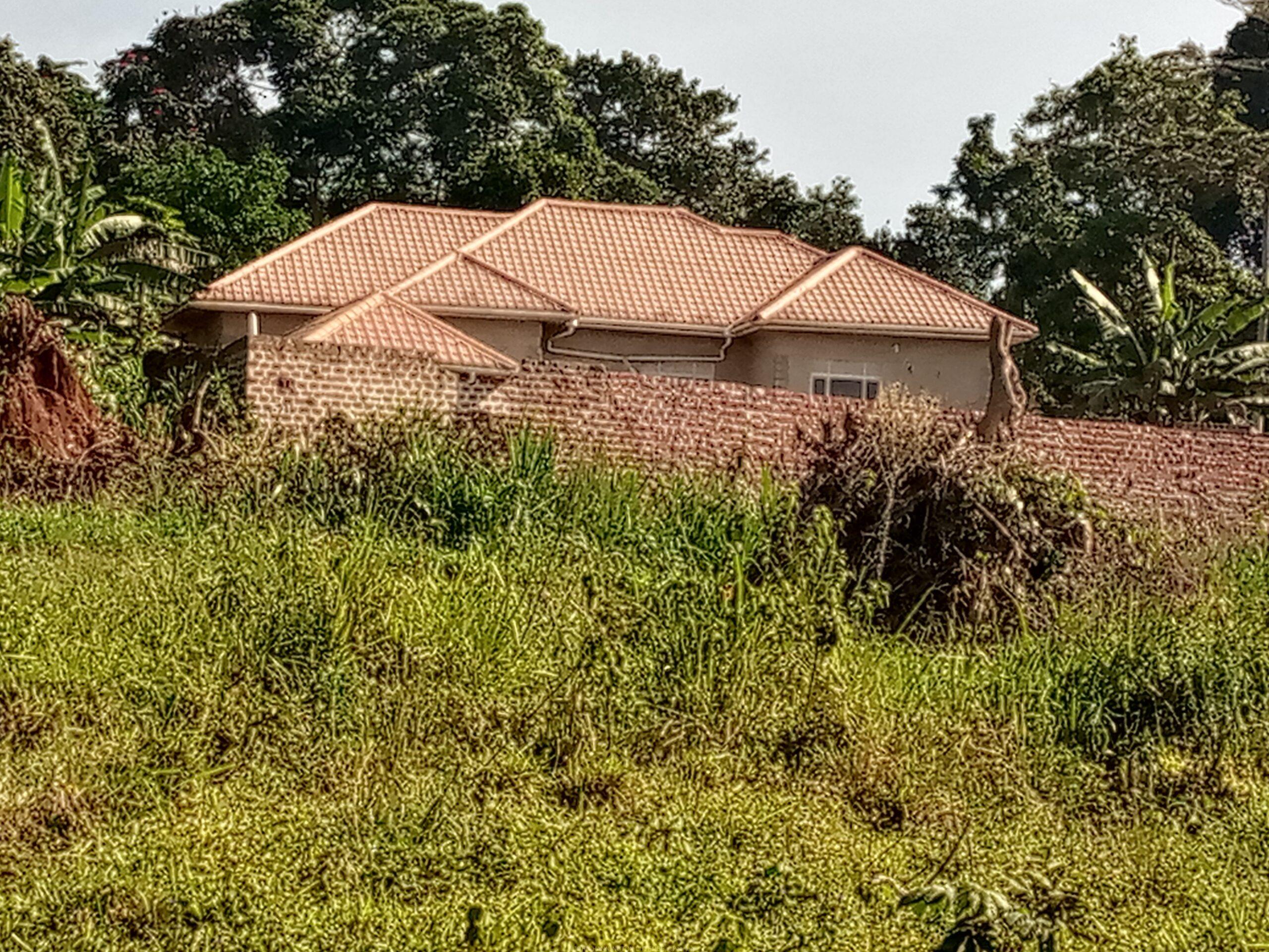 TITLED COMMERCIAL AND RESIDENTIAL PLOTS MEASURED 50*100FT FOR SALE LOCATED IN MUKONO NSABWE