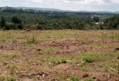 Titled plots on sale located in Wakiso Gobero LUTISI