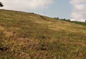 Residential plots for sale located in Wakiso Gobero muguluka