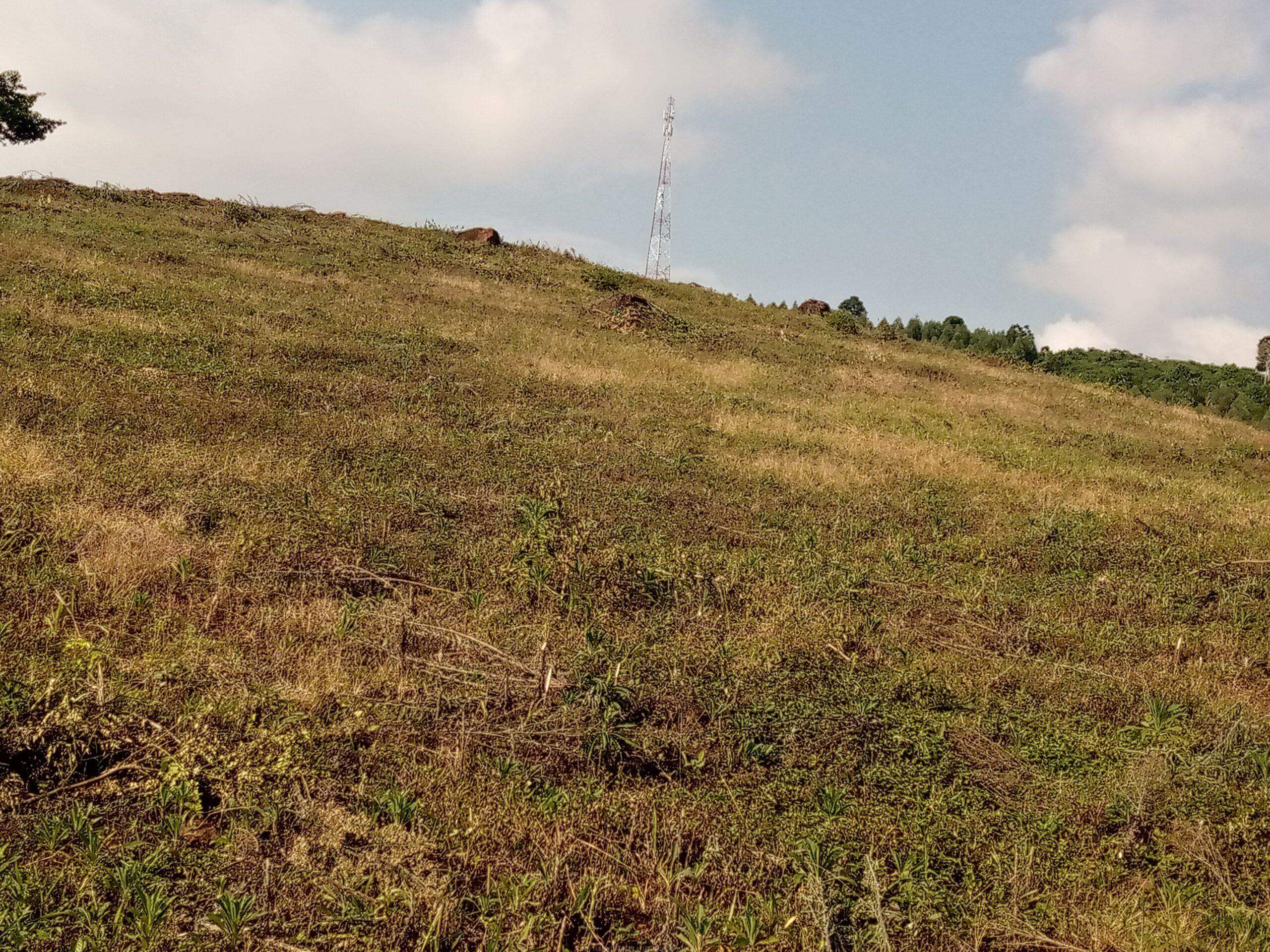 Residential plots for sale located in Wakiso Gobero muguluka
