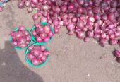 Tomatoes and onions and mangos