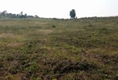 Residential plots for sale located in Wakiso Gobero muguluka