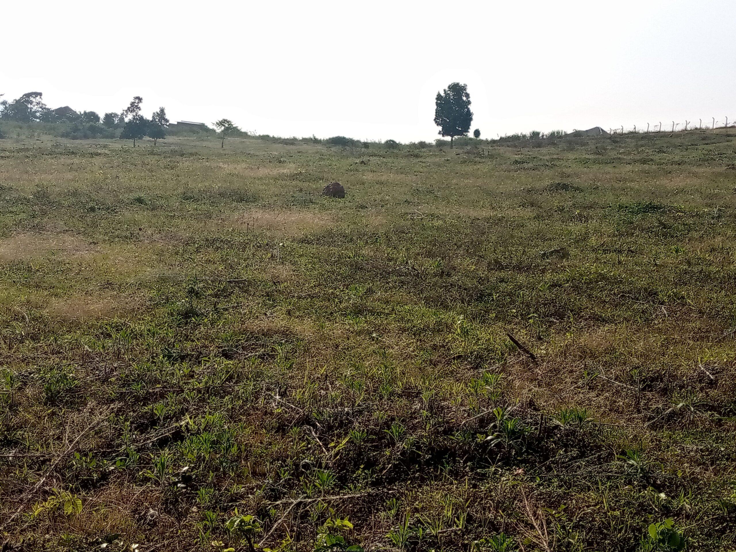 Residential plots for sale located in Wakiso Gobero muguluka