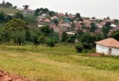 Commercial and Residential plots for sale located in Wakiso Namusera