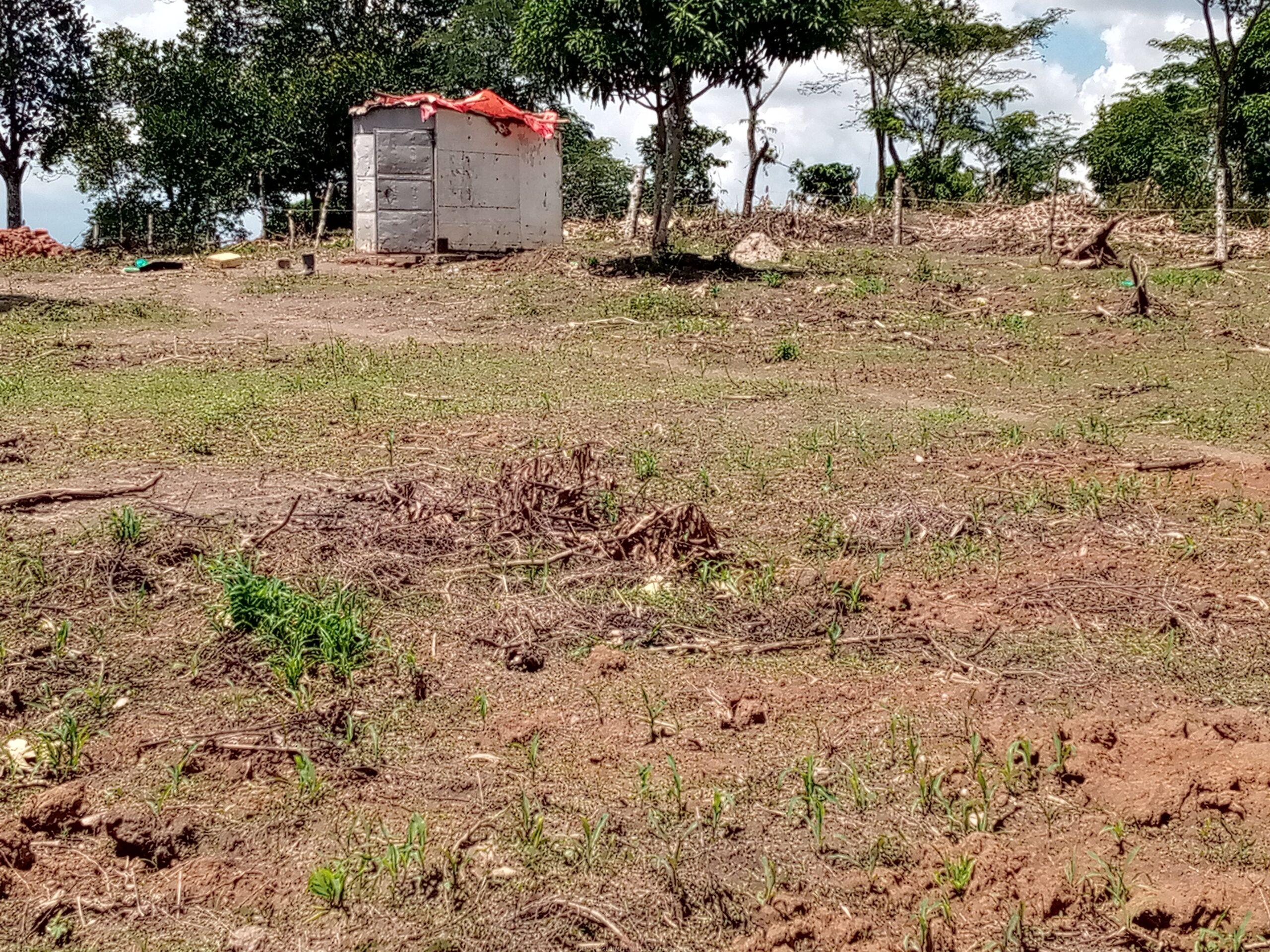 Titled plots on sale located in Wakiso Gobero LUTISI