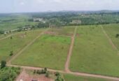 TITLED RESIDENTIAL PLOTS FOR SALE MEASURED 50*100FT WITH READY LAND AT AFFORDABLE PRICE OF 13MILLION