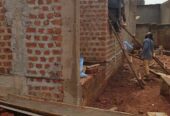 Fledmations and construction