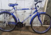 NATI Adults bicycles