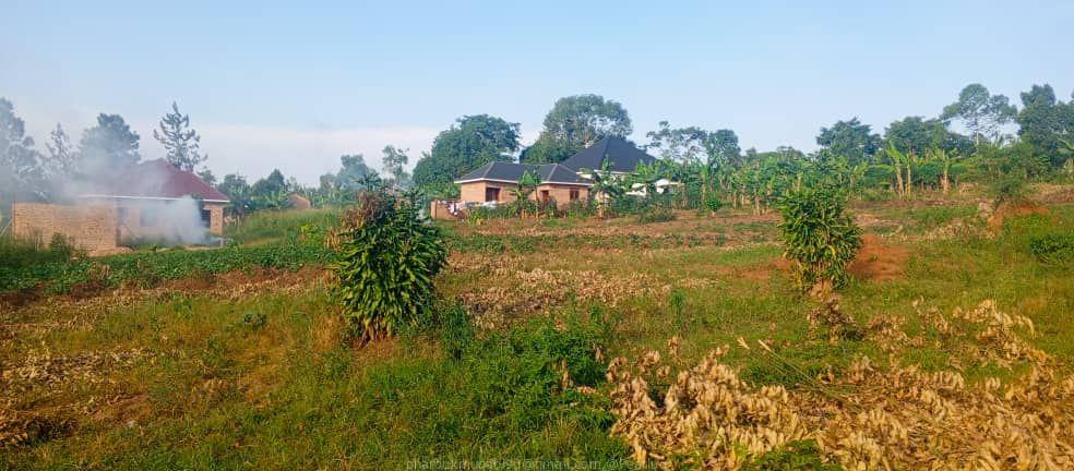 Bombo Road Matugga Sanga Residential plot for sale