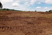 BRAND NEW ESTATE ALONG HOIMA ROAD WAKISO BULONDO TITLED RESIDENTIAL PLOTS MEASURED 50*100FTS