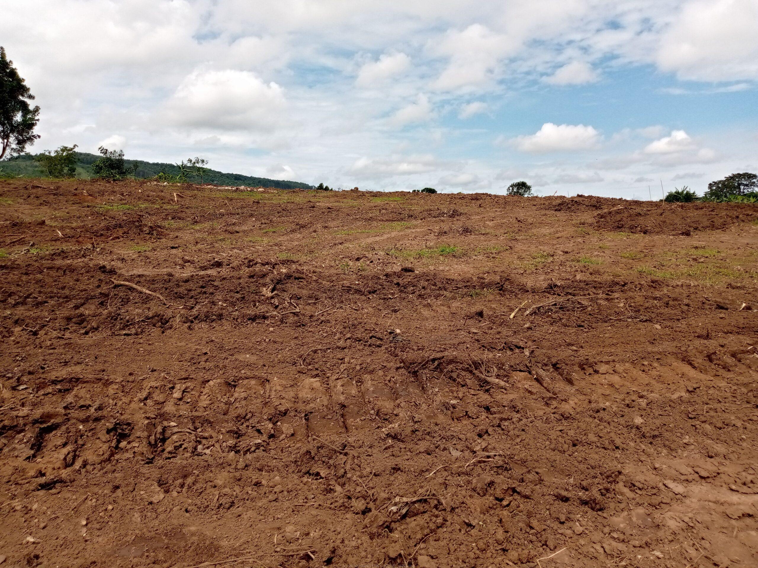 BRAND NEW ESTATE ALONG HOIMA ROAD WAKISO BULONDO TITLED RESIDENTIAL PLOTS MEASURED 50*100FTS