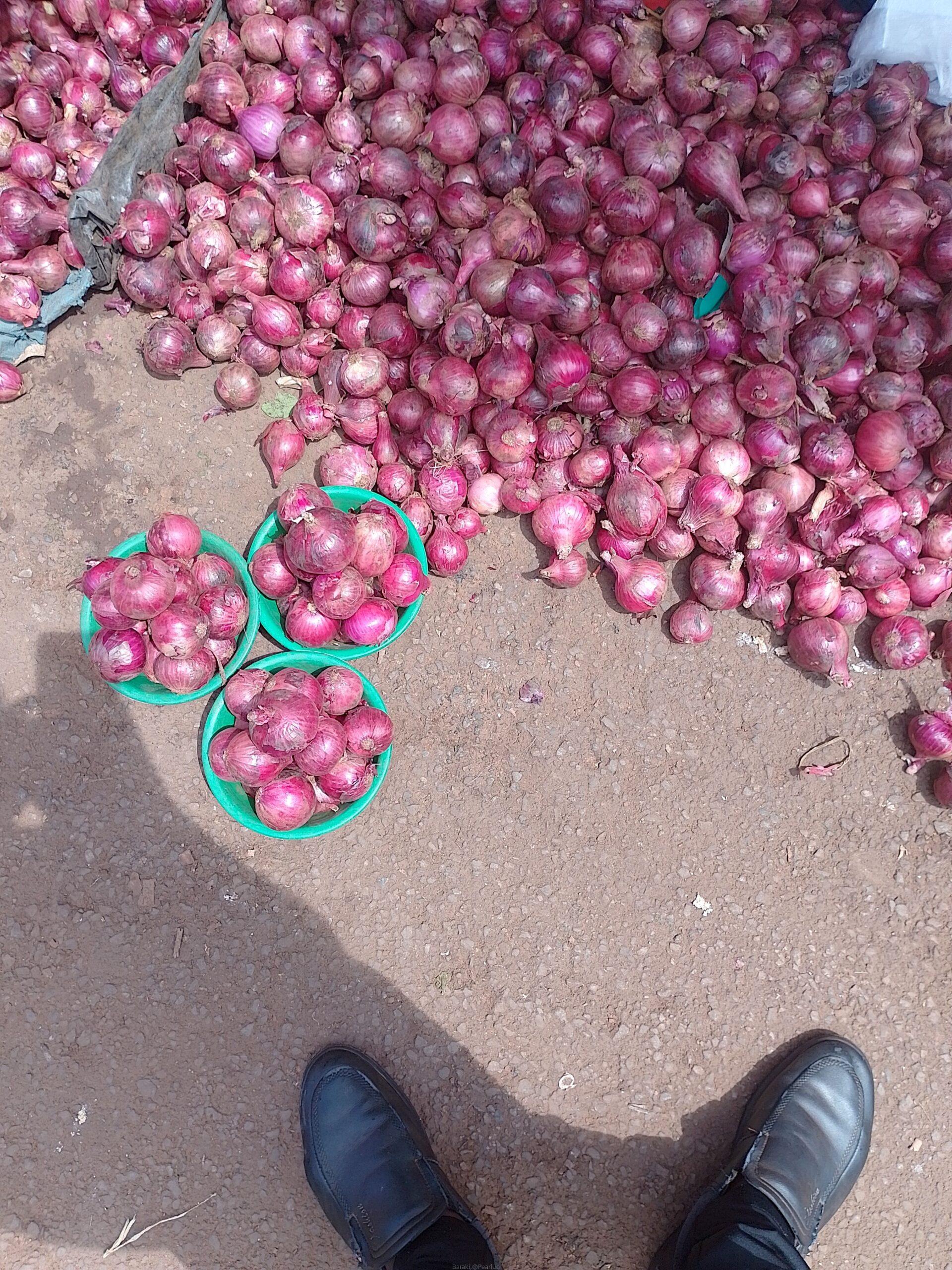 Tomatoes