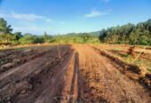 TITLED PLOTS FOR SALE LOCATED WAKISO GOBERO LUTISI