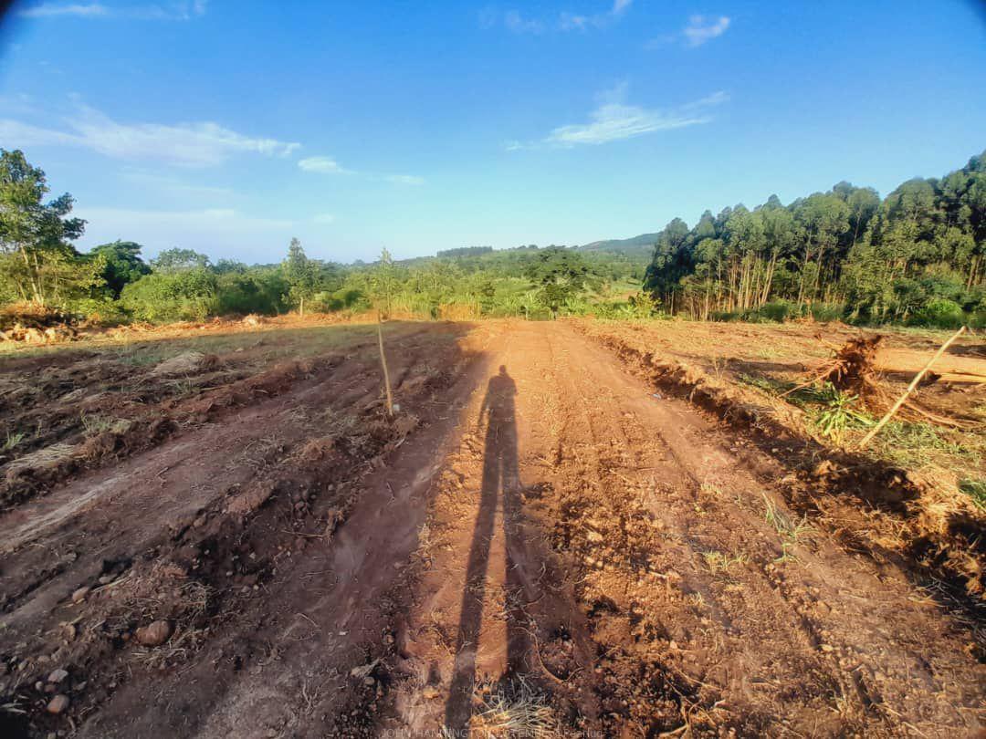 TITLED PLOTS FOR SALE LOCATED WAKISO GOBERO LUTISI