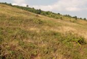 Residential plots for sale located in Wakiso Gobero muguluka