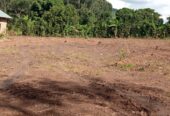 Commercial and Residential plots for sale located in Wakiso Namayumba town