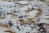 Centre carpets Modern