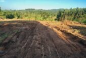 TITLED PLOTS FOR SALE LOCATED WAKISO GOBERO LUTISI