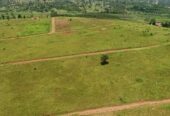 TITLED RESIDENTIAL PLOTS FOR SALE MEASURED 50*100FT WITH READY LAND AT AFFORDABLE PRICE OF 13MILLION