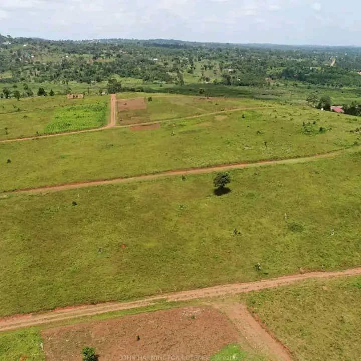 TITLED RESIDENTIAL PLOTS FOR SALE MEASURED 50*100FT WITH READY LAND AT AFFORDABLE PRICE OF 13MILLION