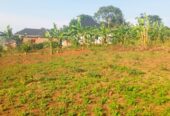 Lakeshore Entebbe Road Garuga estate plots for sale