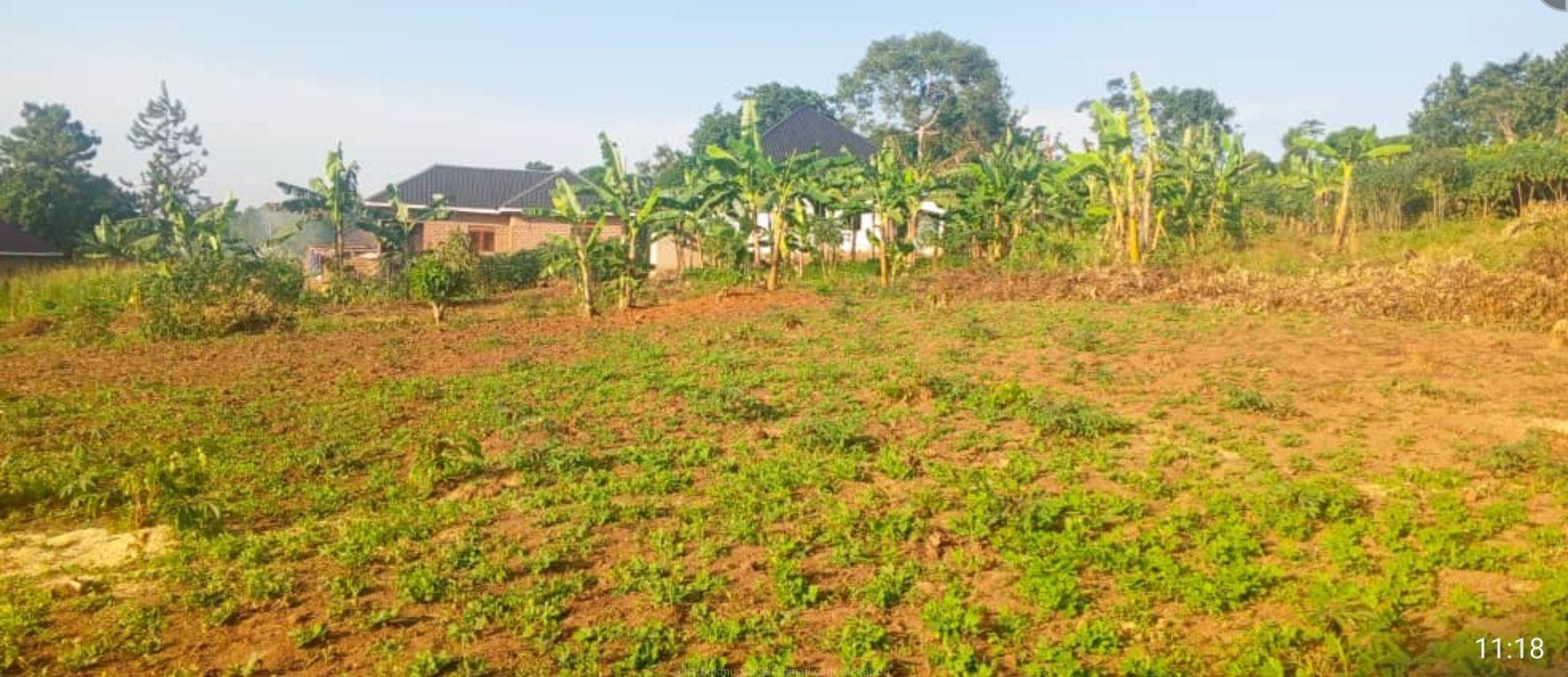 Lakeshore Entebbe Road Garuga estate plots for sale