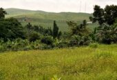 TITLED RESIDENTIAL PLOTS FOR SALE LOCATED IN LUGAZI BUIKWE NAJJEMBE BUVUNYA ESTATE WITH READY LAND TITLE
