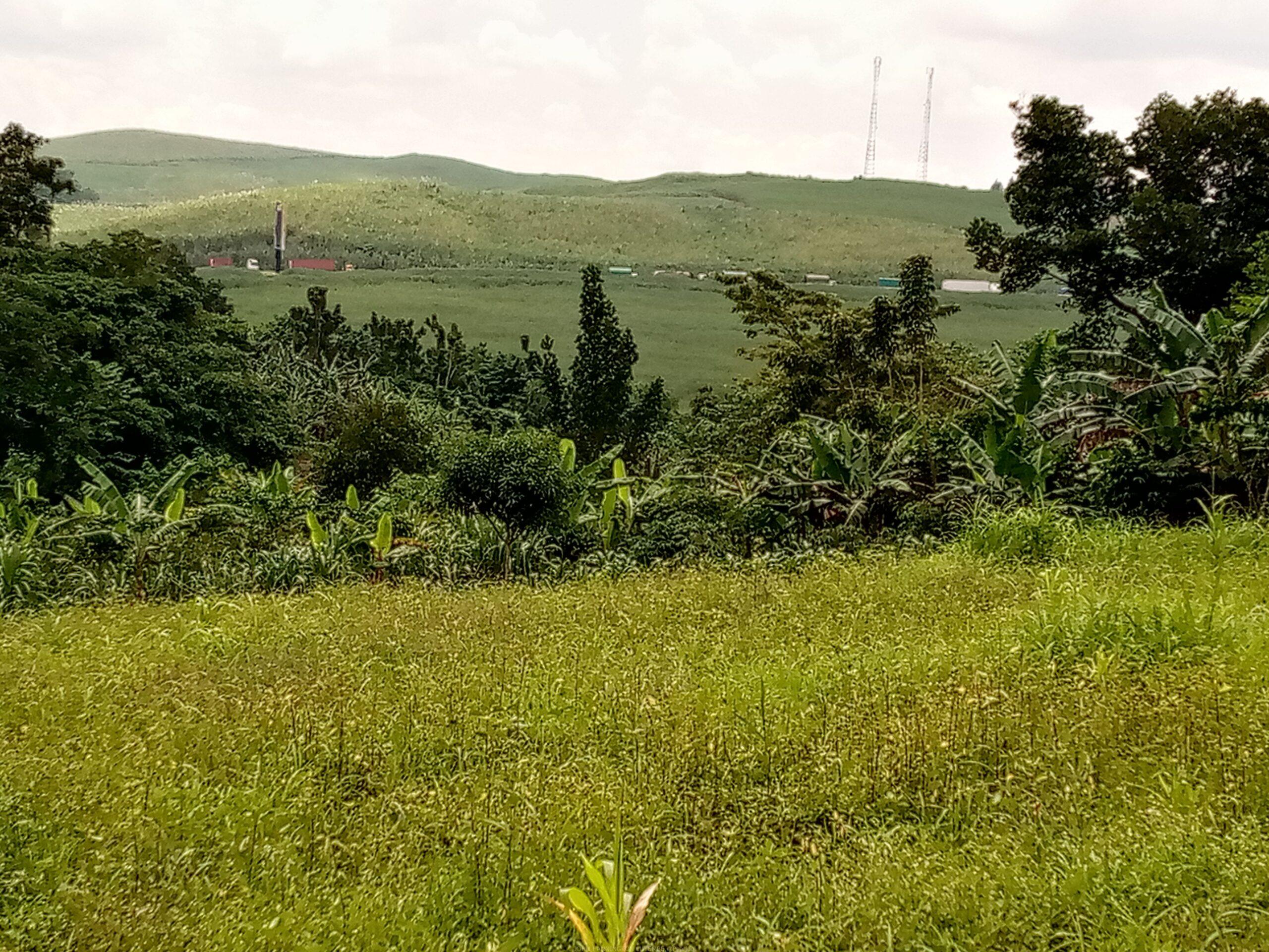 TITLED RESIDENTIAL PLOTS FOR SALE LOCATED IN LUGAZI BUIKWE NAJJEMBE BUVUNYA ESTATE WITH READY LAND TITLE