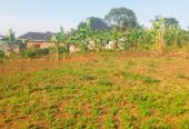 Bombo Road Matugga Sanga Residential plot for sale