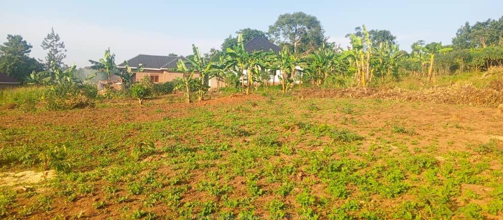 Bombo Road Matugga Sanga Residential plot for sale