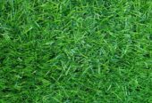 Grass carpet
