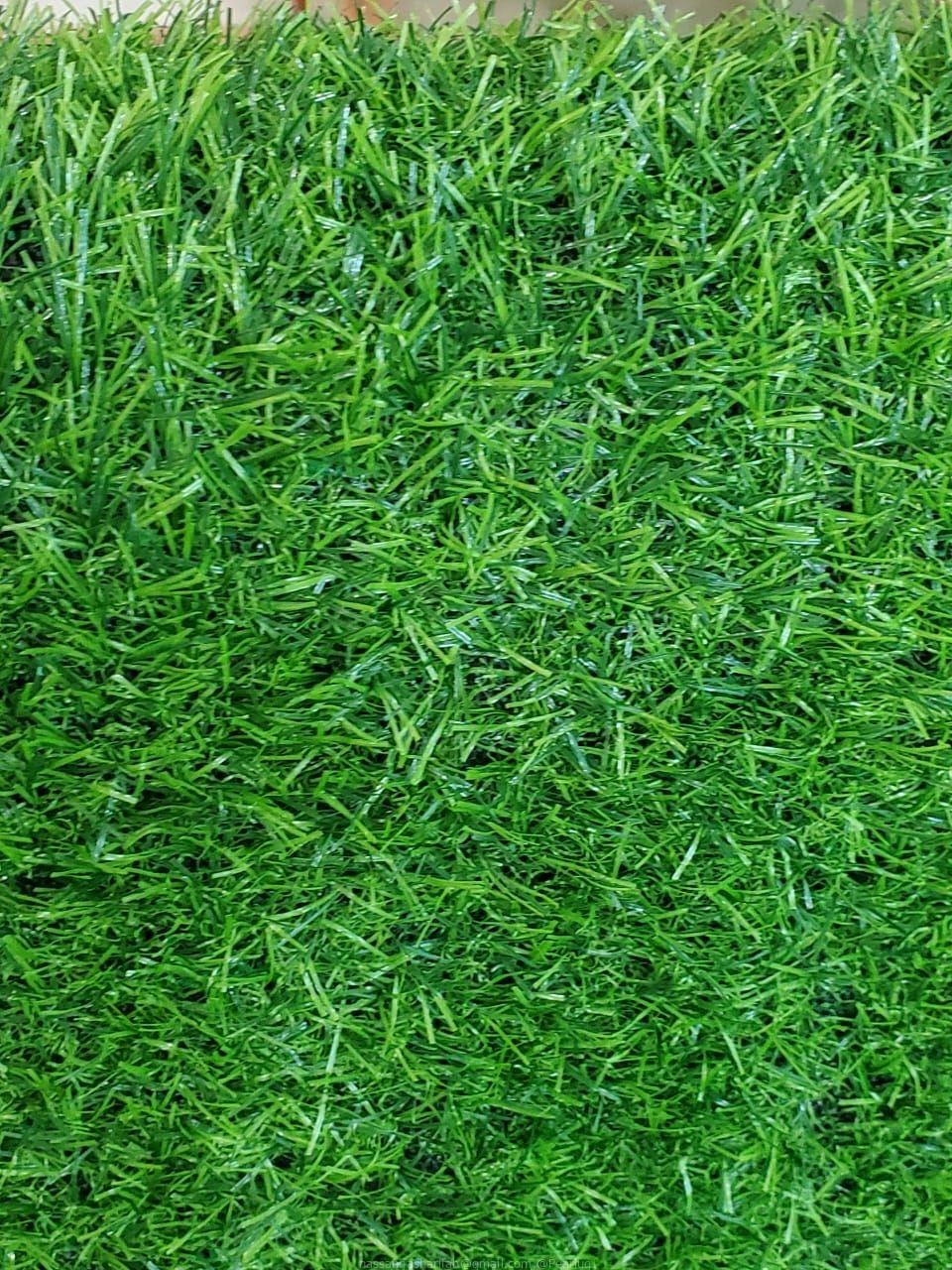 Grass carpet