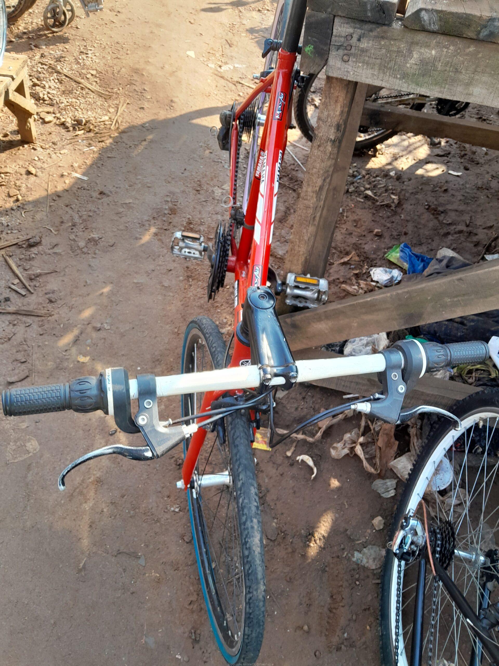 Sport bicycle road race