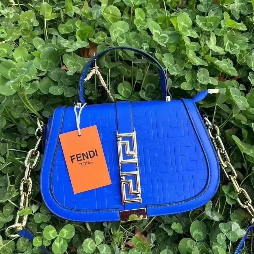 Ladies hand bags