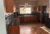 Kitchen cabinets