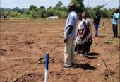 Plots for sell