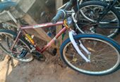 Mountain bicycle