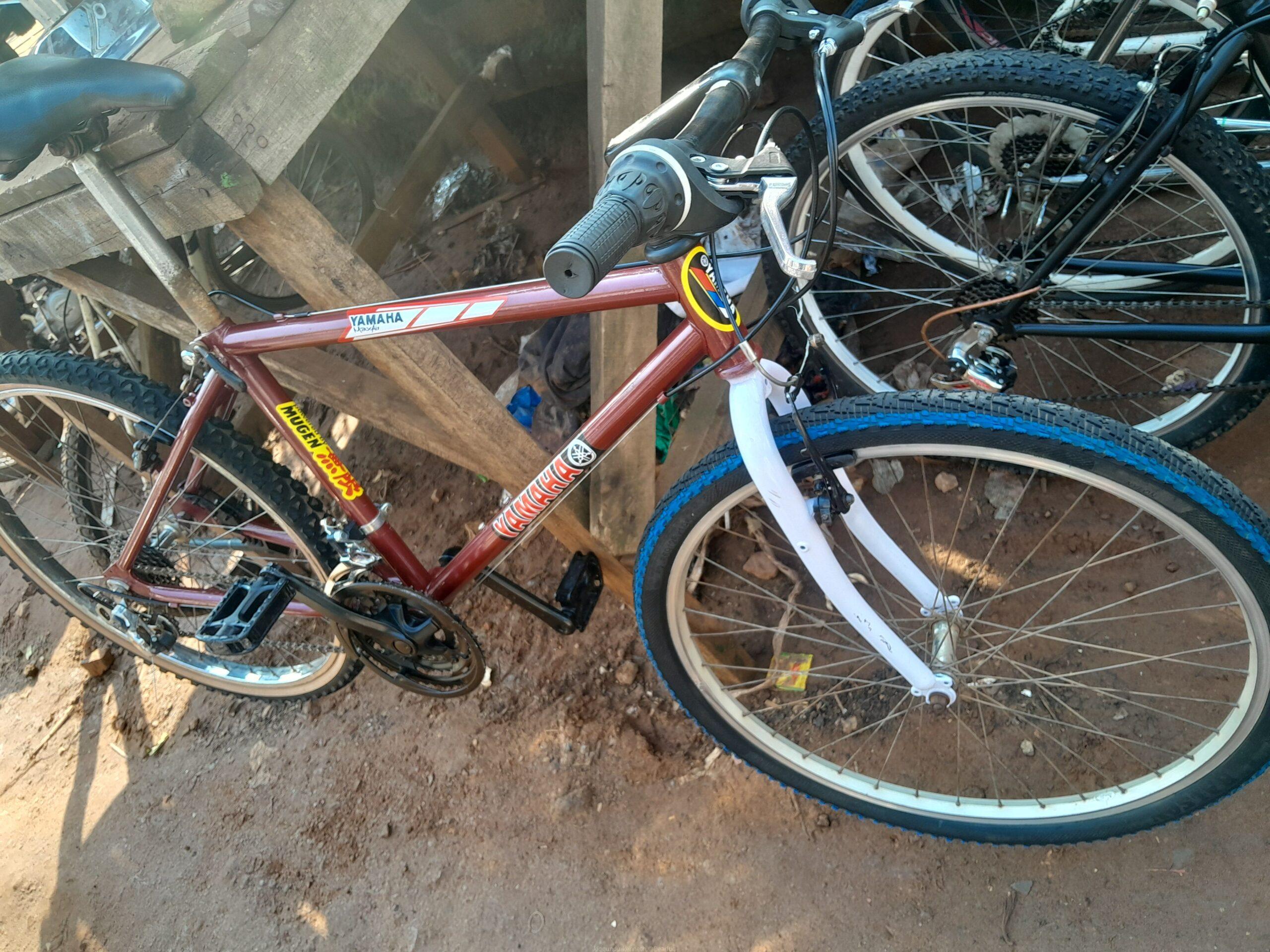 Mountain bicycle