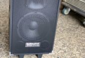 Global star amplified speaker