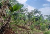 Plots of land