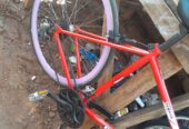 Sport bicycle road race