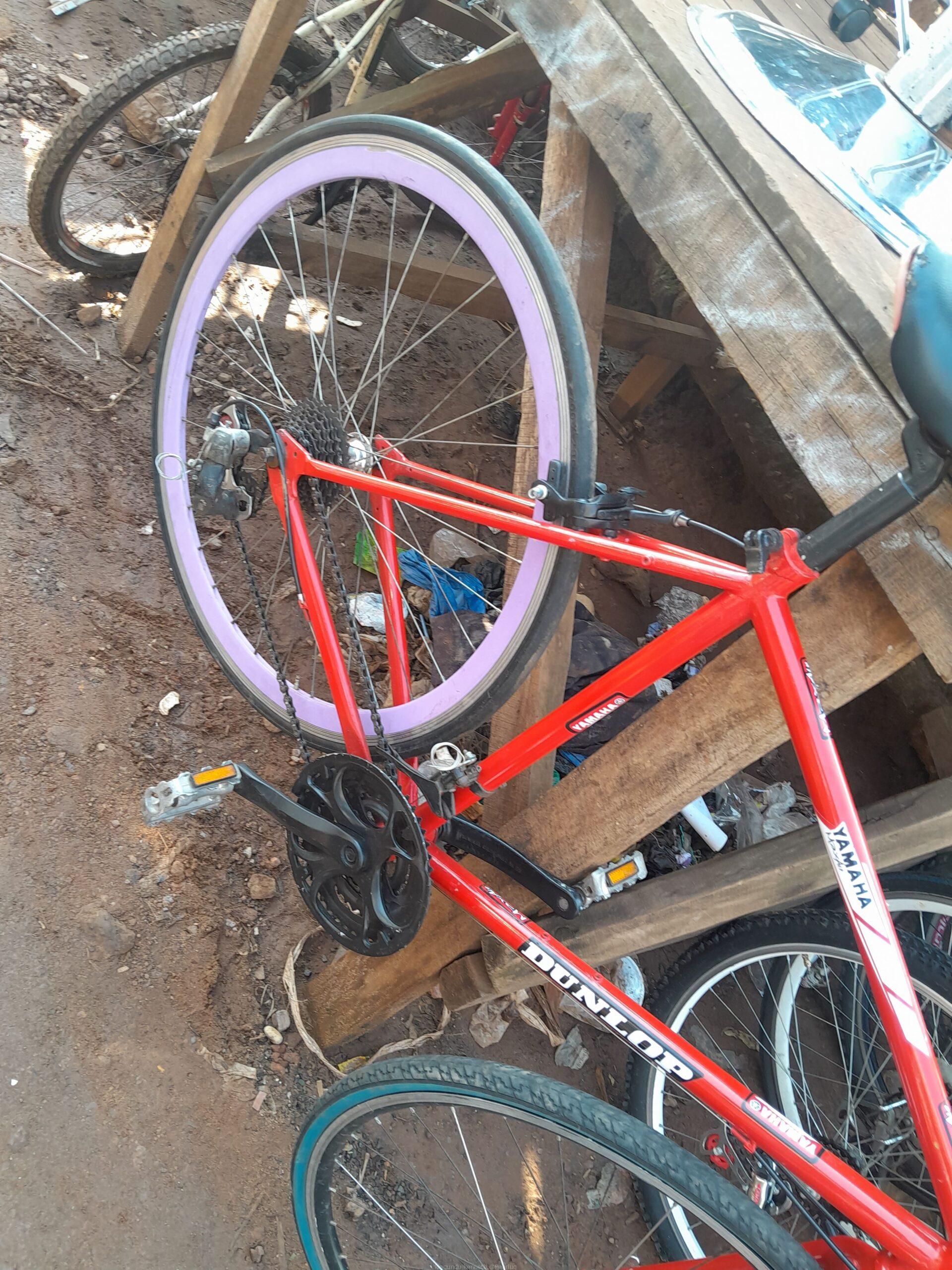 Sport bicycle road race