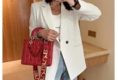 Stylish handbag