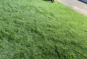 Artificial grass